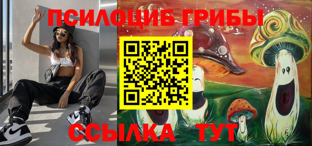 Псилоцибиновые грибы Cubensis Муром